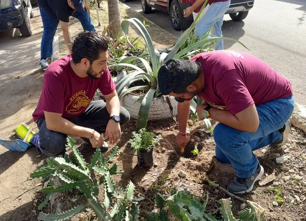 La Responsabilidad Social se presenta mediante programas de voluntariado