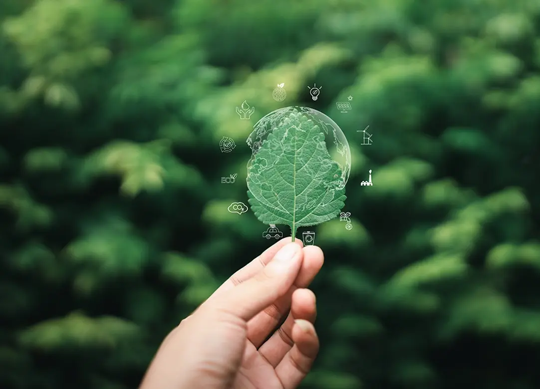 La Responsabilidad Social Individual: una manera de transformar tu entorno