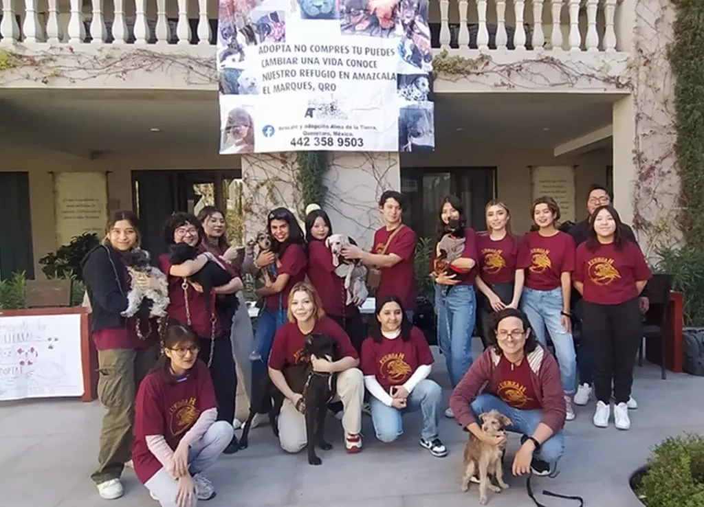 Participar en programas de voluntariado es una gran manera de contribuir con la sociedad