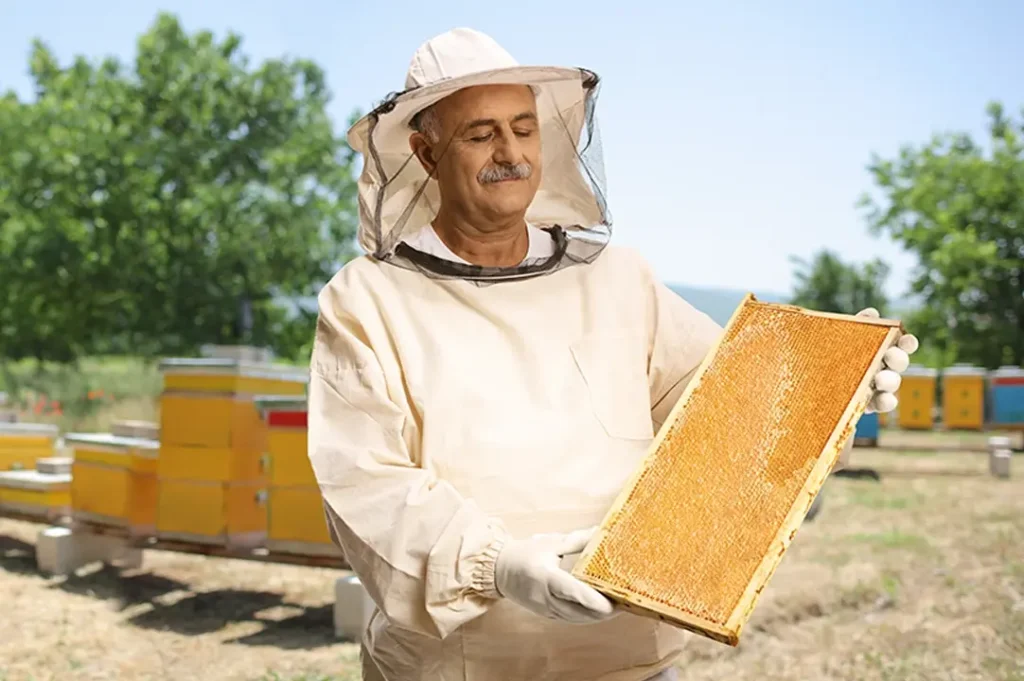 Proteger a las abejas es, en realidad, proteger nuestra supervivencia como especie.