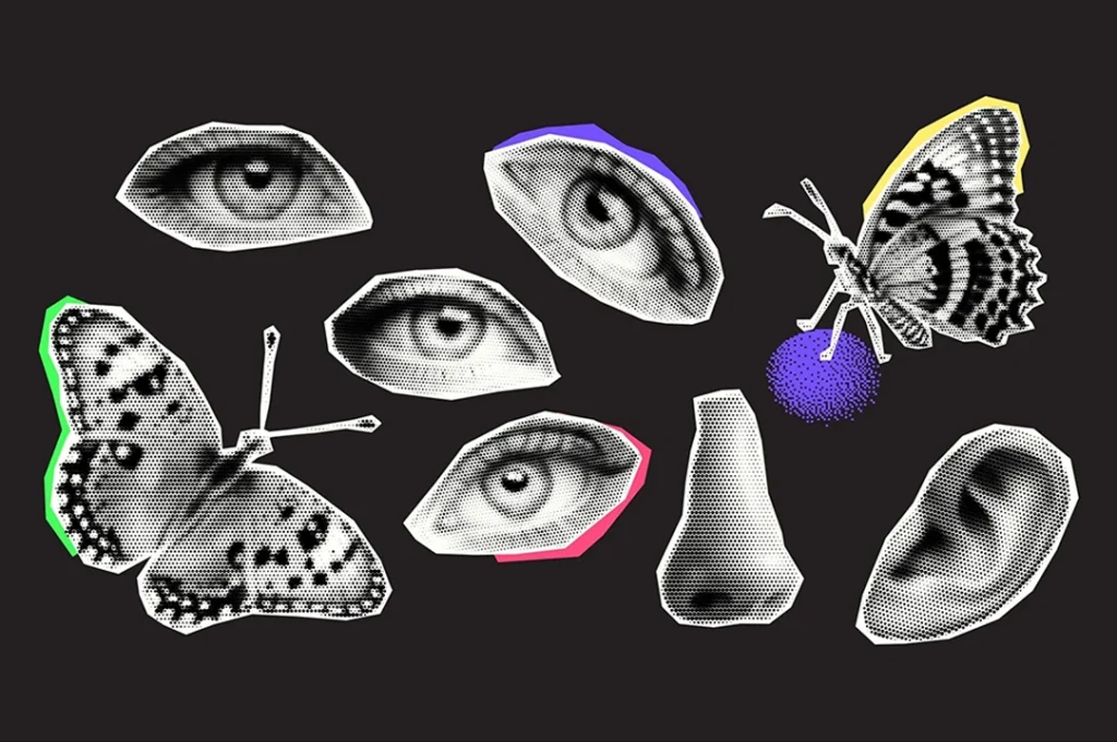 El efecto mariposa hace referencia a cómo pequeñas decisiones pueden provocar grandes cambios en nuestra vida.