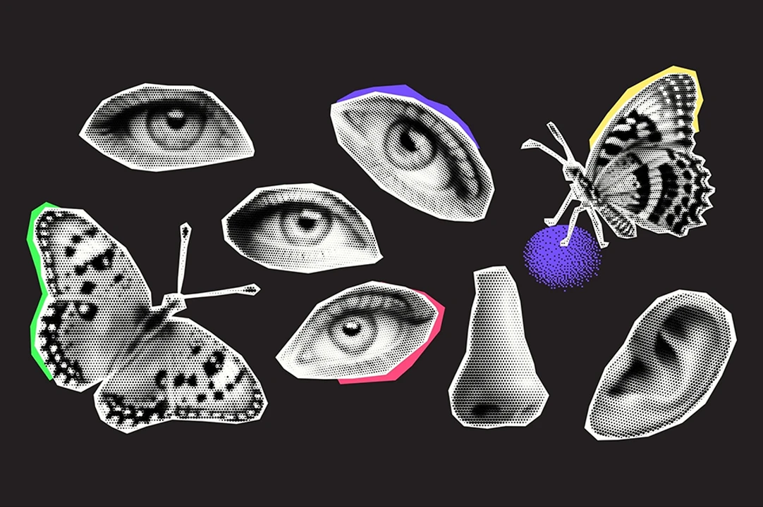 El efecto mariposa hace referencia a cómo pequeñas decisiones pueden provocar grandes cambios en nuestra vida.