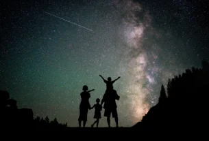 Constelaciones familiares: Origen y análisis de su práctica terapéutica